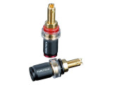 FP-803(G)