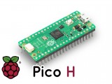 RPI-PICO-H