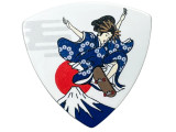 PFC-FUJI