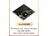 Core11060408