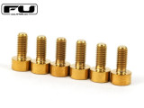 Titanium Saddle Mounting Screw Set (6)–GOLD