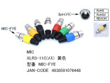 MIC-FYE