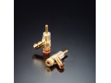 FP-202(G)