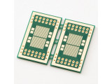 SSP-81