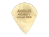 GP-AS/BN1