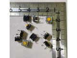 B3W-1002