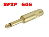 BF2P GGG