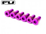 Titanium Saddle Mounting Screw Set (6) – PURPLE