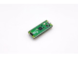RASPP2HSC1631#