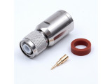 TNCP-8